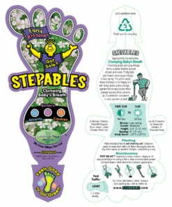 Babies Breath Mouse Ear - Gypsophila Cerastioides - Quart Pot 10 Babies Breath Mouse Ear - Gypsophila Cerastioides - Quart Pot -HIRTS Sales api3knjfw 12261.1592334537