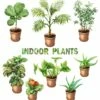 Hirt's Boxed Botany - 12 Month House Plant Subscription -HIRTS Sales apipq4gyi 87629.1592323667