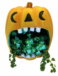 Orange Pumpkin Howler Halloween Indoor Garden Planter-5" Ceramic Vase/Live Plant