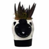 Baa Baa Black Sheep Planter With Black Knight Succulent Plant- 3" X 6.5" X 3.25" -HIRTS Sales blksheep 97766.1697046603