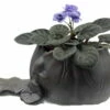 Creative Lotus Leaf Ceramic Planter With Live Miniature African Violet -HIRTS Sales lotusleaf1 removebg preview205 37689.1693250732