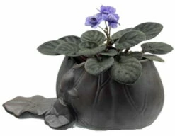 Creative Lotus Leaf Ceramic Planter With Live Miniature African Violet