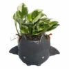 Fang Von Batula Halloween Planter With House Plant -4" Hangable Gray Ceramic Pot -HIRTS Sales vonbatgray 18253.1696438131