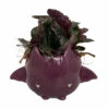 Fang Von Batula Halloween Planter & House Plant -4" Hangable Purple Ceramic Pot -HIRTS Sales vonbatpurple 64628.1696438128