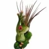 Yoga Frog Good Morning Hands Raised -Live Tillandsia Air Plant +Planter- 3" X 3" -HIRTS Sales yogafroghandsup2 24058.1593791927