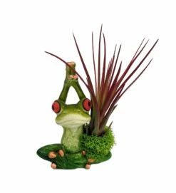 HIRTS Sales -HIRTS Sales yogafroghandsup 32529.1593791928